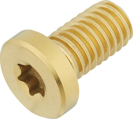 77designz Ti Bolt Titanium Bolt - gold/M6x11