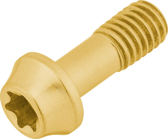 77designz Tornillo de titanio Ti Bolt - gold/M5x14