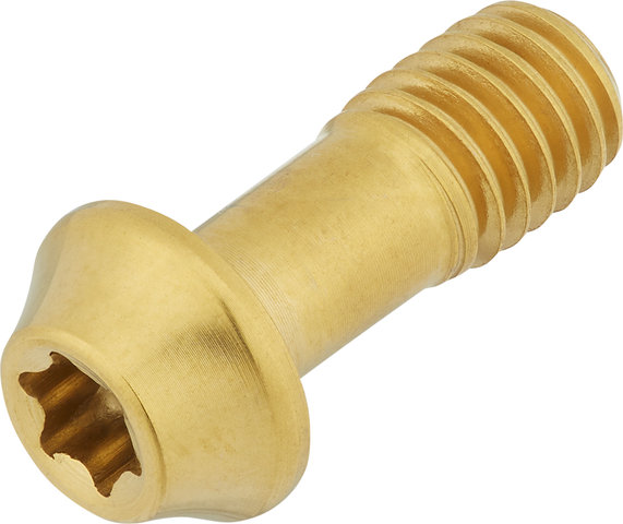 77designz Tornillo de titanio Ti Bolt - gold/M6x15