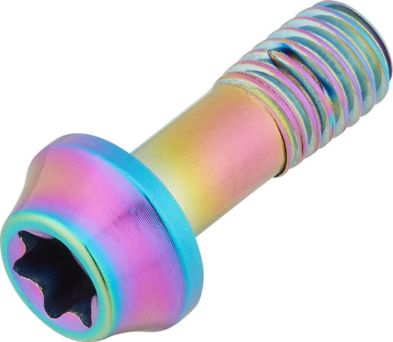 77designz Ti Bolt Titanium Bolt - oilslick/M5x14