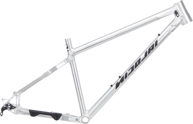 Nicolai Argon GAM Frame - factory raw/L