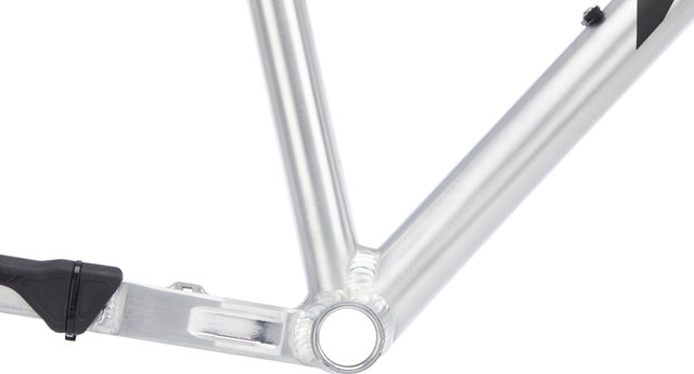 Nicolai Argon GAM Frame - factory raw/L