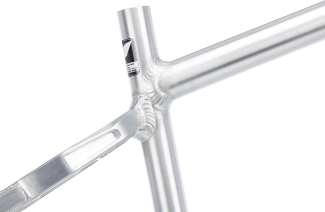 Nicolai Argon GAM Frame - factory raw/L