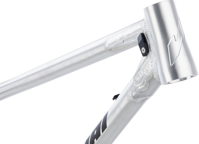 Nicolai Argon GAM Frame - factory raw/L