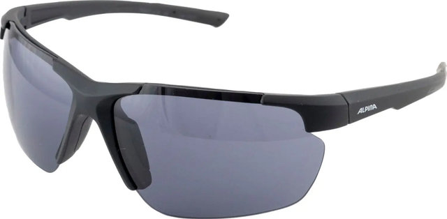 Alpina Defey HR Sportbrille - black matt | black