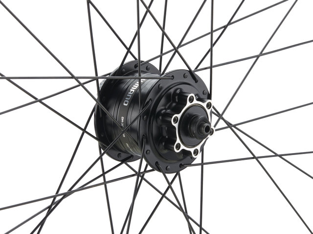 bc basic Mountain Alivio Disc 6-Loch DT Swiss 533D 29" Laufradsatz - schwarz | 29" Satz (VR 9x100 Dynamo + HR 10x135) Shimano