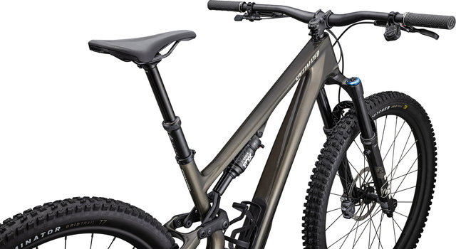 Specialized Stumpjumper 15 Expert Carbon Mountainbike - gloss gunmetal-white mountains/29"/150 mm/L