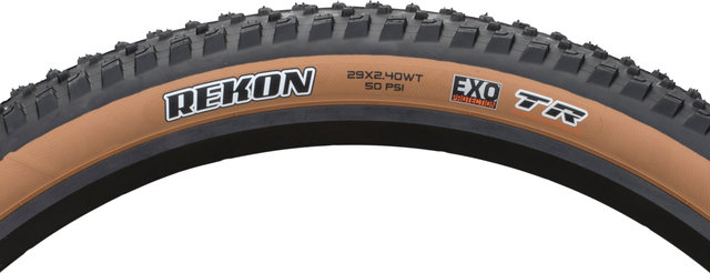 Maxxis Pneu Souple Rekon Dual EXO WT TR Skinwall 29" - skinwall/29 /61 /61-622/2.4 