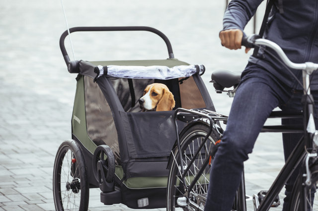 Thule Remolque para niños Courier - vintage green | 20"