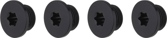 Campagnolo Plato Ekar 13 velocidades, 4 brazos, círculo de agujeros de 123 mm - negro/42 