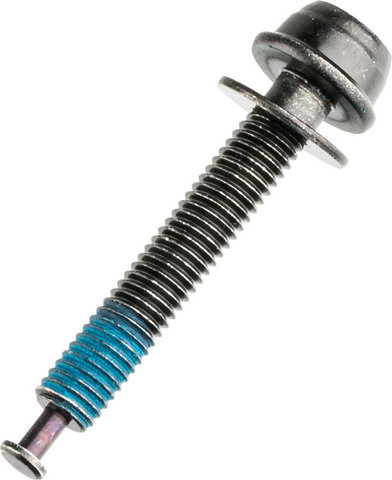 Shimano Befestigungsschraube HR Typ C für Flat Mount - schwarz/20 mm
