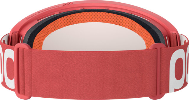 Ora Clarity Goggle - ammolite coral translucent/clarity trail brown