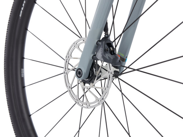 WI.DE. Force Eagle AXS 28" Carbon Gravelbike - grey/M
