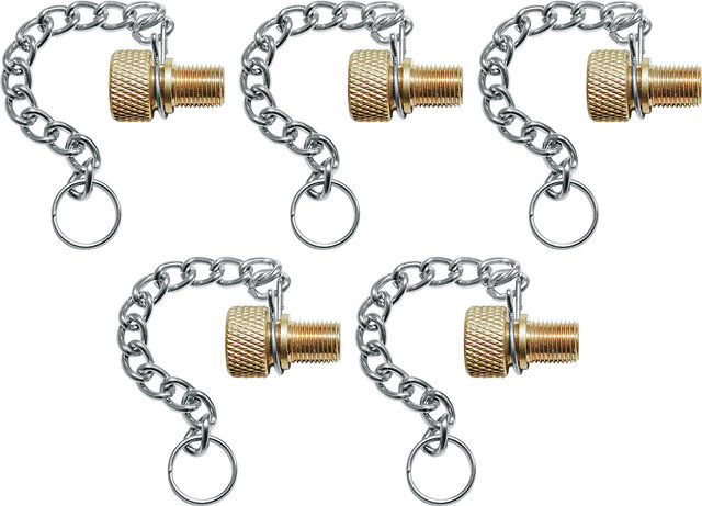SKS Conjunto de reductores de niples - gold