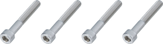 Burgtec Bolts for Direct-Mount Stem Spacers - silver/M6x40