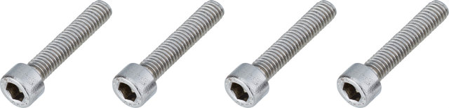 Burgtec Bolts for Direct-Mount Stem Spacers - silver/M6x30