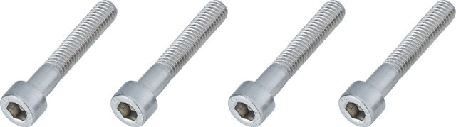 Burgtec Bolts for Direct-Mount Stem Spacers - silver/M6x35