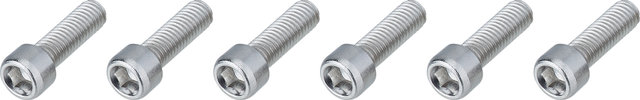 Burgtec Tornillos de potencia de acero para Enduro MK2 / MK3 - silver/universal