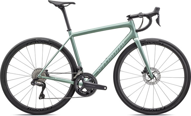 Specialized Aethos Pro Carbon Road Bike - satin metallic white sage-white sage/54 cm