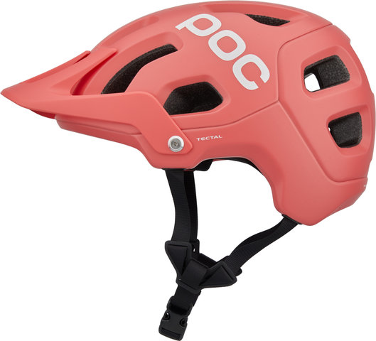 Casque Tectal Modèle 2023 - ammolite coral mat/55 - 58 cm