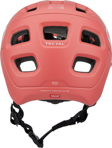 Casque Tectal Modèle 2023 - ammolite coral mat/55 - 58 cm
