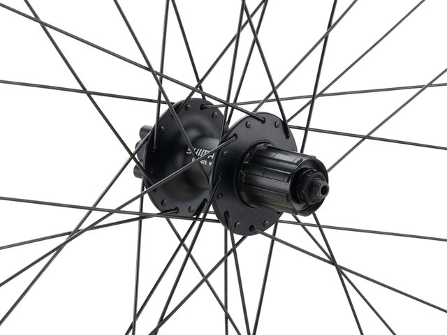 Juego de ruedas Mountain Alivio Disc 6 agujeros DT Swiss 533D 29" - negro/Juego de 29" (RD 9x100 dinamo + RT 10x135) Shimano