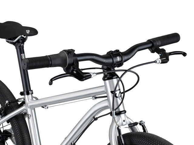 Vélo pour Enfant Belter 20" - brushed aluminium/universal