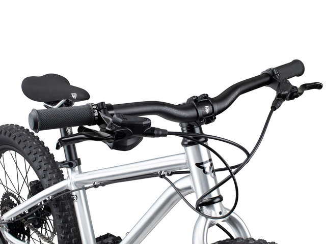 EARLY RIDER Seeker 20" Kids Bike - brushed aluminium/universal