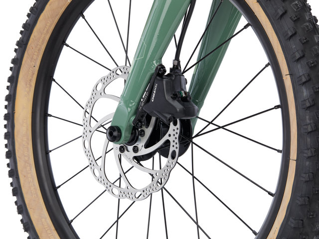 BO20 20" Kids Bike - gecko green/universal