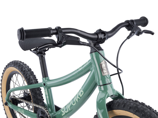 Vélo pour Enfants BO16 16" - gecko green/universal