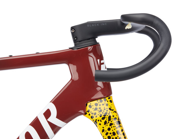 OSTRO Gravel V.A.M. Disc Carbon Rahmenkit - amani/54 cm
