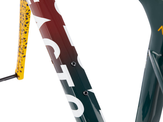 OSTRO Gravel V.A.M. Disc Carbon Rahmenkit - amani/54 cm