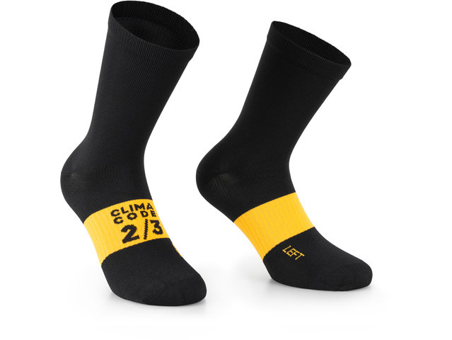 Calcetines Spring Fall Evo - black series/39-42