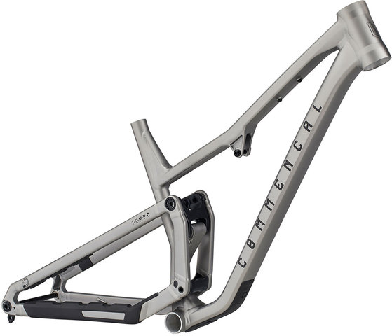 Cuadro T.E.M.P.O. 29" - silver/L
