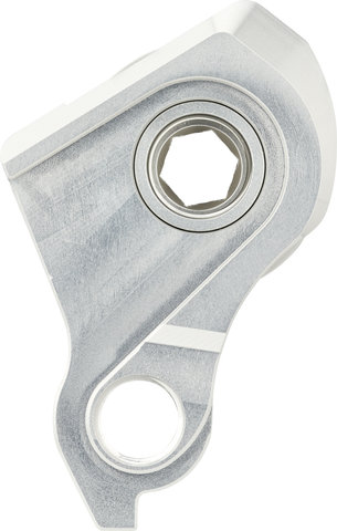 Burgtec Trek ABP UDH Derailleur Hanger - rhodium silver/universal