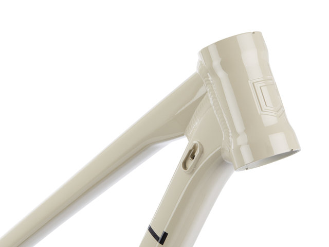 Cuadro Supreme DH V5 - chalk/L
