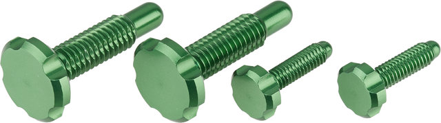 OAK Components CPA/EPA Screws for Root-Lever Pro - green/universal