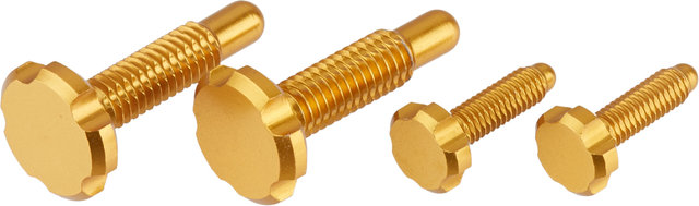 OAK Components Tornillos CPA/EPA para Root-Lever Pro - gold/universal