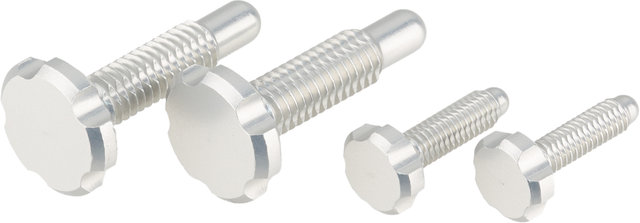 OAK Components CPA/EPA Screws for Root-Lever Pro - raw/universal