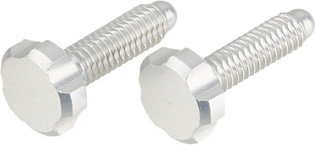 OAK Components EPA Screws for Root-Lever Pro - raw/universal