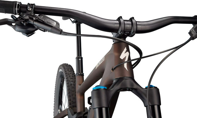 Specialized Bici de montaña Enduro Expert Carbon 29" - satin doppio-sand/S4