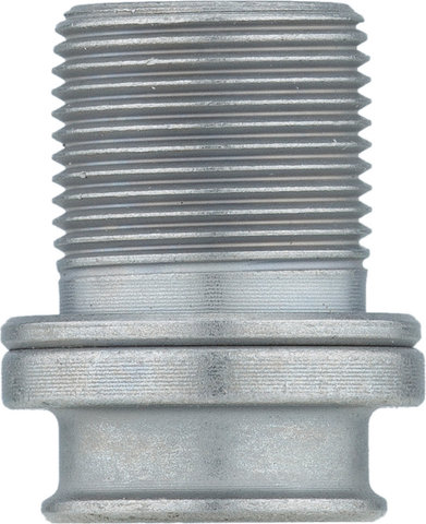 Campagnolo Zentrale Kurbelschraube Potenza, Centaur - silber