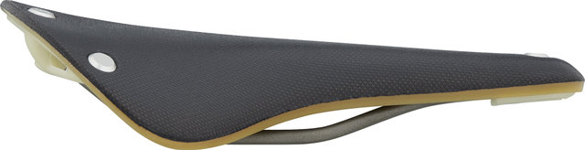 Brooks Cambium C17 Special Sattel - black/164 mm