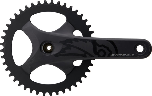 Campagnolo Ekar GT ProTech 13-fach Kurbelgarnitur - black/172,5 mm 44 Zähne