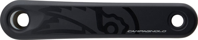 Campagnolo Ekar GT ProTech 13-fach Kurbelgarnitur - black/172,5 mm 44 Zähne