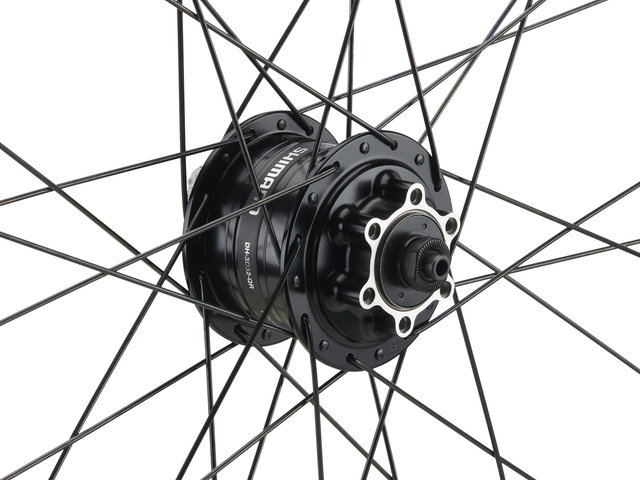 bc basic Mountain/Urban Alivio Disc 6L DT Swiss 466D 29" Hub Dynamo wheel - schwarz | front wheel only | 29" | 100 mm | front wheel only | Non Boost | front wheel only