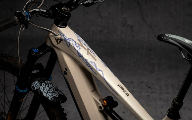 DYEDBRO Set de lámina protectora para cuadros de bicicletas eléctricas - lightning blue/universal