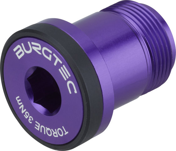 Burgtec Sram T-Type Derailleur Bolt - Bolt 1 - purple pain