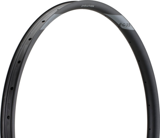 NEWMEN Evolution SL E.G.35 Disc 29" Felge - black-grey/28/29"