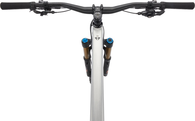 RAAW Mountain Bikes Jibb bc Edition 29" Mountainbike - raw matt | 150 mm | 29" | L